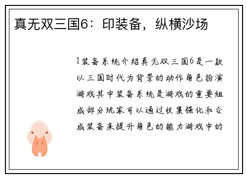 真无双三国6：印装备，纵横沙场